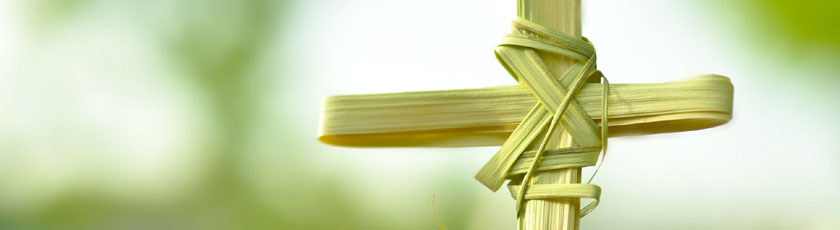 palm-sunday.jpg(34805 byte)