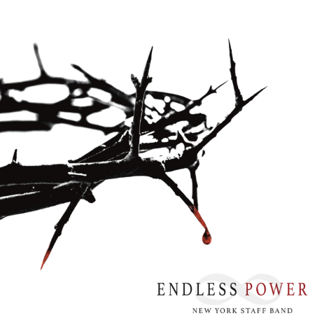 Endress Powerのジャケット画像